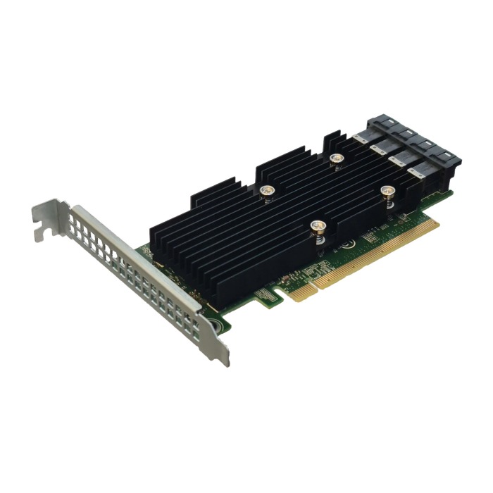 RAID-Controller Dell Express Flash Extender Adapter 12Gb SAS PCIe 3.0x8 P31H2