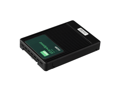 Festplatte GoodRAM US20M 3.84TB SSD NVMe PCIe 5.0x4 U.2 2.5" 3D TLC NAND RI GEUS20UASP-3T8TP10B